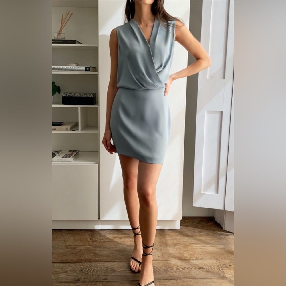 BABATON
Phoenix Dress XS like new condition.